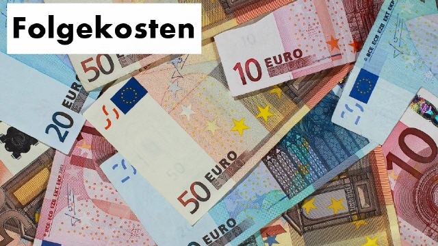 Folgekosten einer Gesellschaft